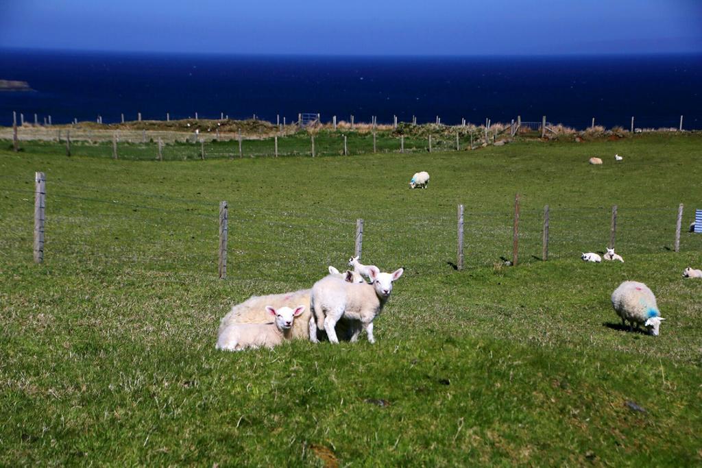 Vila Kenmore Staffin Exteriér fotografie